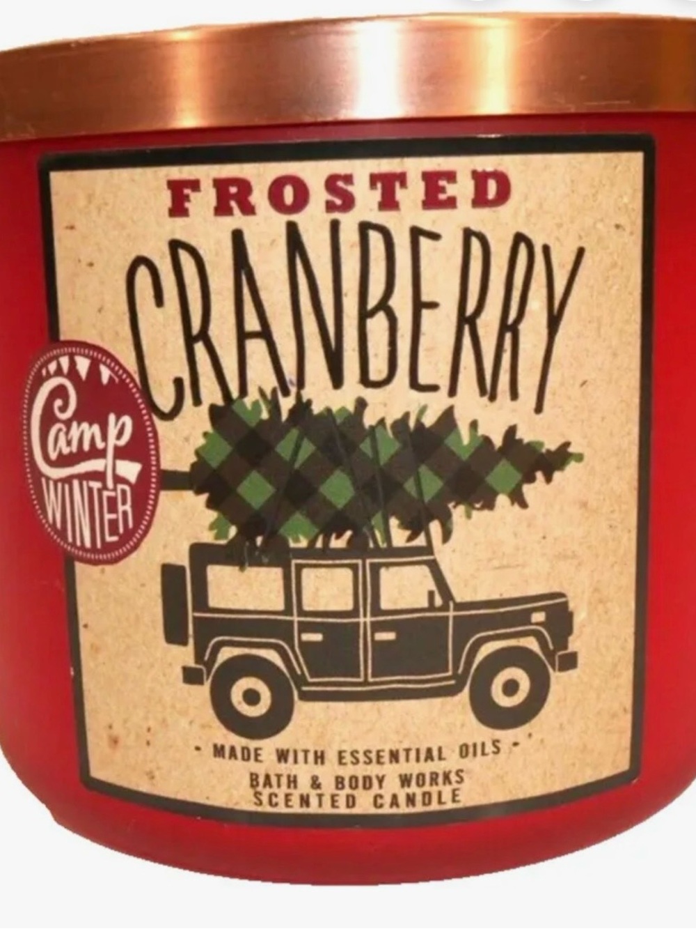 Bath & Body Works Frosted Cranberry Jar Candle - Bronze Lid